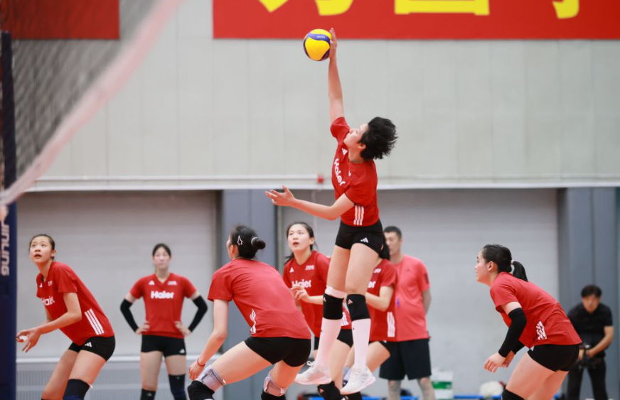 乐鱼体育下载app 用户评价与使用体验分析