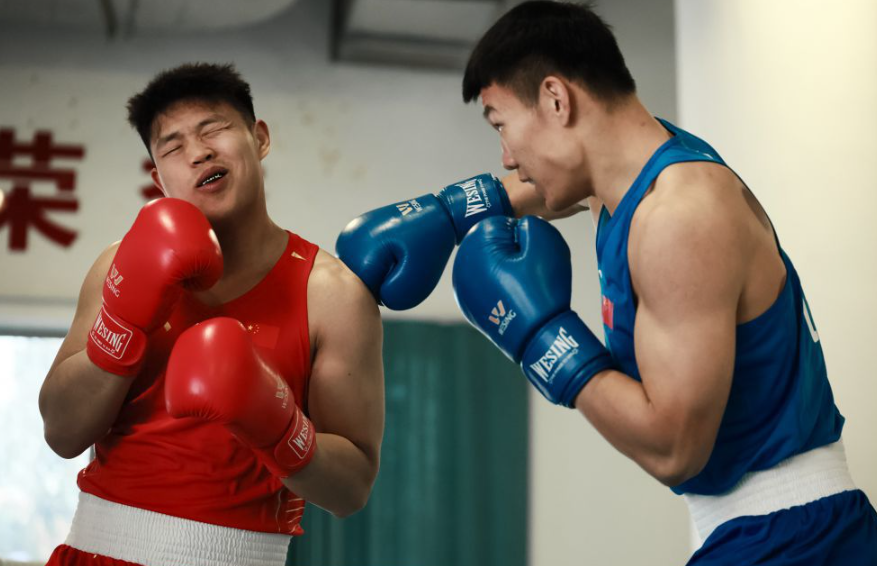 乐鱼体育官网移动版免费下载